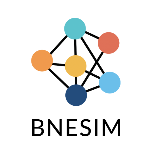 BNESIM logo